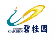 香洲碧桂园地产